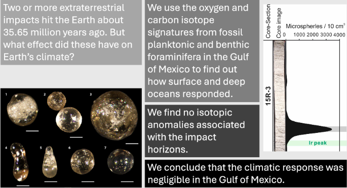 No paleoclimatic anomalies are associated with the late Eocene ...