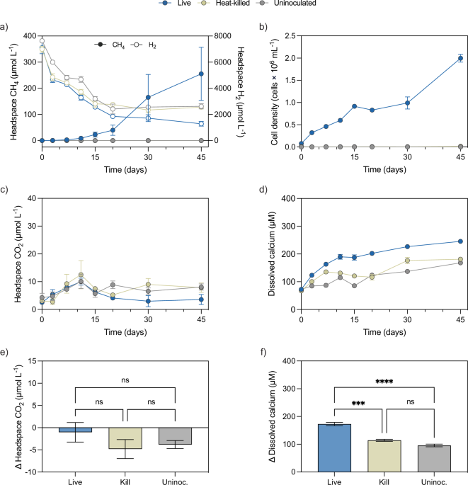 Microbial Methanogenesis: Utilizing Carbonate Minerals for Inorganic Carbon Source