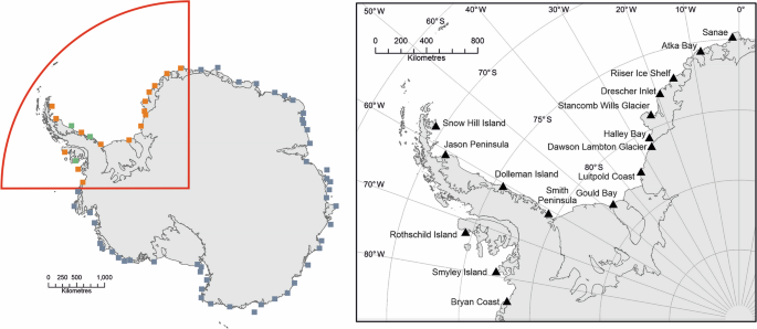 Regional emperor penguin population declines exceed modelled projections - Communications Earth & Environment