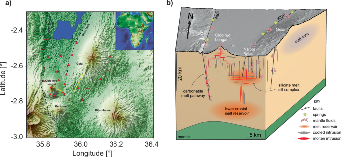 Tremor signals reveal the structure and dynamics of the Oldoinyo Lengai magmatic plumbing system