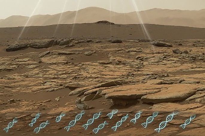 Fragmented deoxyribonucleic acid could be extractable from Mars’s surface rocks - Communications Earth & Environment