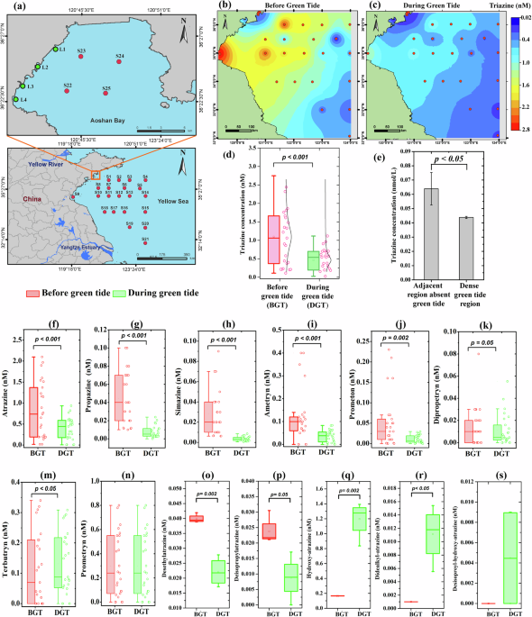 Macroalgal ecosystem provides a scalable solution to coastal herbicide  pollution via macroalgamicrobiome synergy | Communications Earth &  Environment