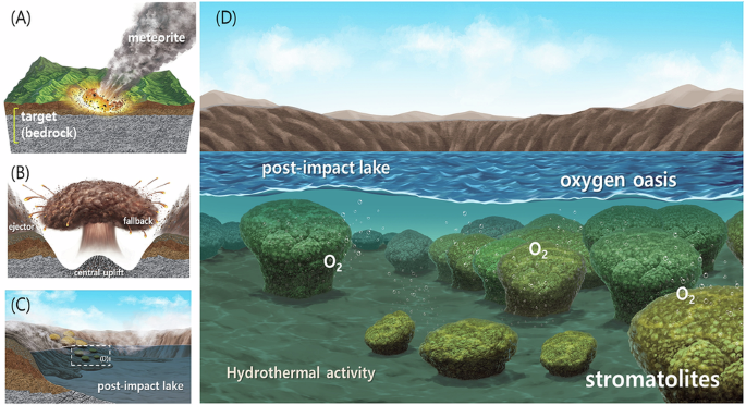 Discovery of stromatolite formation in post-impact hydrothermal lacustrine environments and its implications for early Earth - Communications Earth & Environment