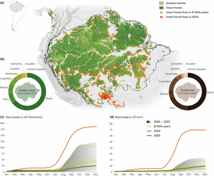 Fire risk mitigation underpins durable Nature-based Climate Solutions in the Amazon Fire risk mitigation underpins durable Nature-based Climate Solutions in the Amazon