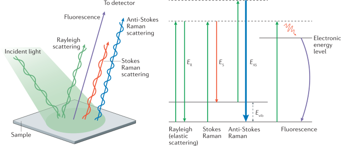 Spatially Offset Raman Spectroscopy Nature Reviews Methods Primers Spatially Offset Raman Spectroscopy Nature Reviews Methods Primers
