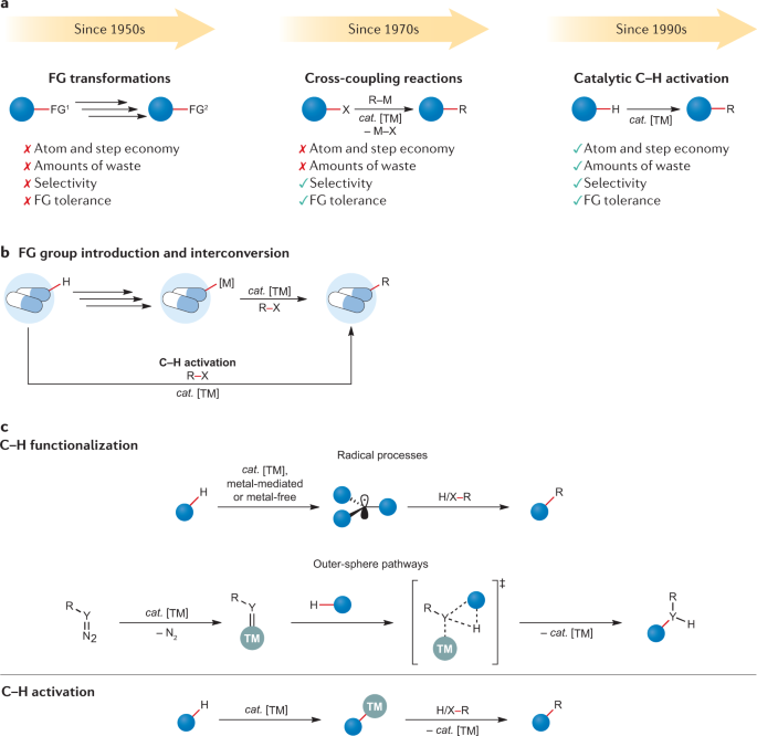 C H Activation Nature Reviews Methods Primers