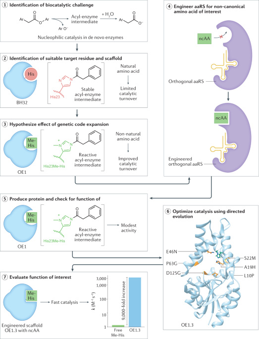 From nature to industry: Harnessing enzymes for biocatalysis