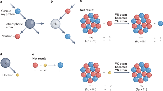 Radiocarbon dating | Nature Reviews Methods Primers