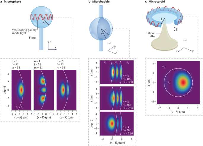 Whispering-gallery-mode sensors for biological and physical sensing |  Nature Reviews Methods Primers