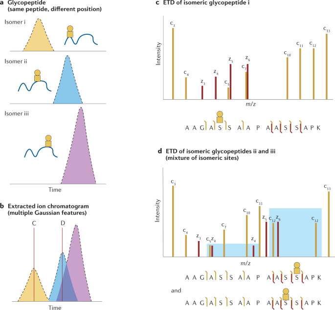 Glycoproteomics  Nature Reviews Methods Primers