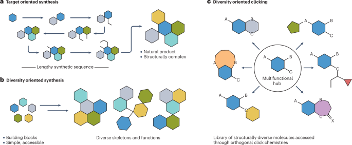 Diversity oriented clicking for modular synthesis | Nature Reviews Methods  Primers