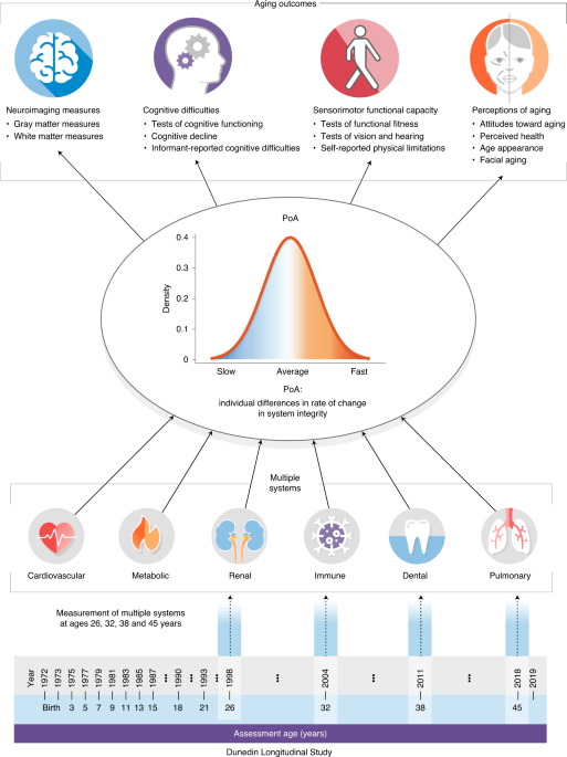 Correlation analysis of chronological age, scores in modified frailty