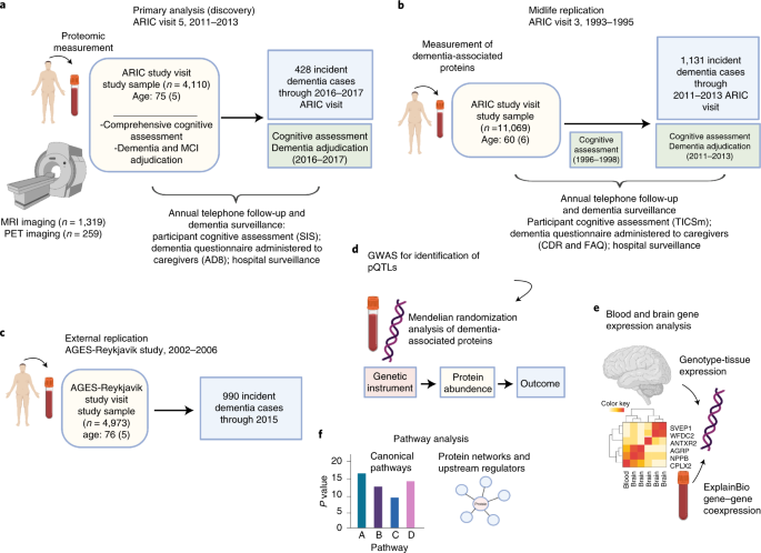 Large Scale Plasma Proteomic Analysis Identifies Proteins And Pathways Associated With Dementia Risk Nature Aging Large Scale Plasma Proteomic Analysis Identifies Proteins And Pathways Associated With Dementia Risk Nature Aging
