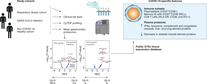 Using ‘big data’ to disentangl...