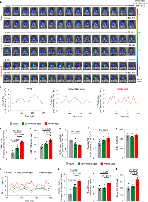 cjc-1295 and ipamorelin mechanism of action CJC 1295