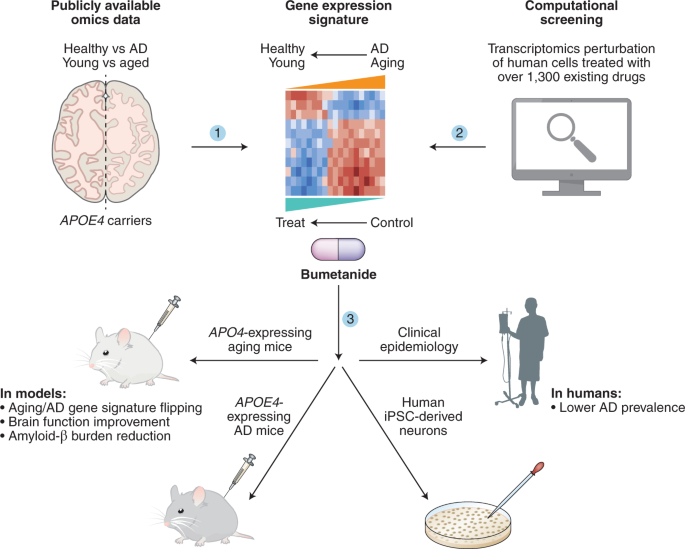 A Water Pill Against Alzheimer S Disease Nature Aging
