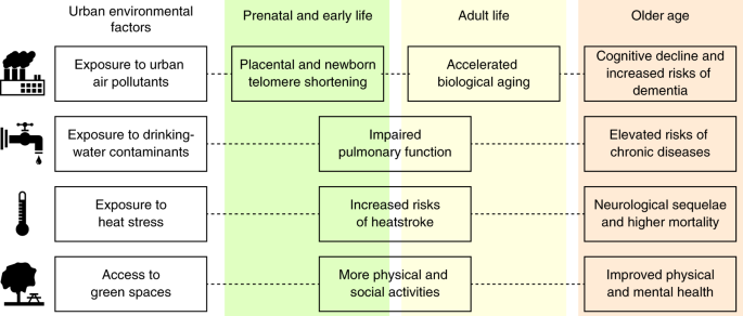 What is an Age-Friendly Environment? 