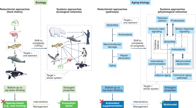 A complex systems approach to aging biology | Nature Aging