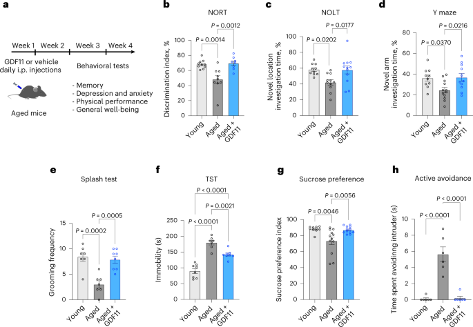epithalon vs gdf11 and aging biology GDF11 expressed in the adult