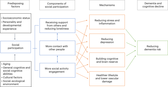 Different loneliness types, cognitive function, and brain structure in  midlife: Findings from the Framingham Heart Study - eClinicalMedicine