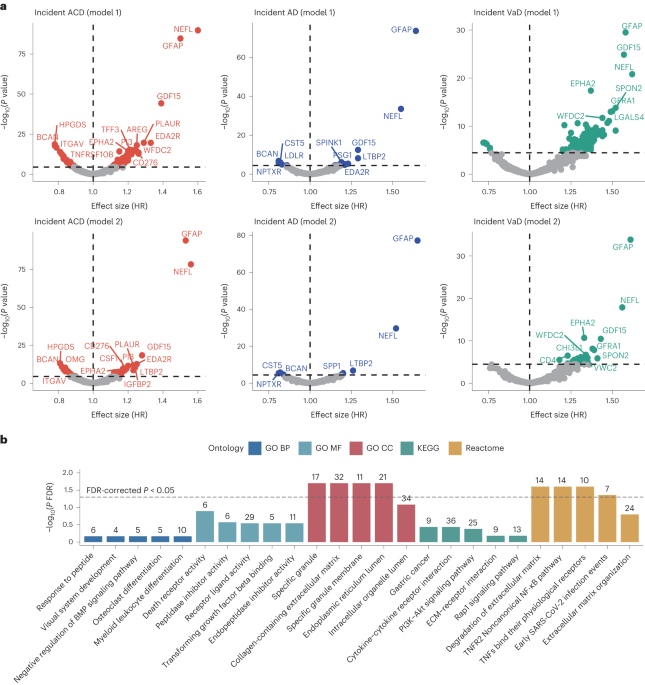 The advent of proteomics offers an unprecedented opportunity to predict dementia onset. We examined this in data from 52,645 adults without dementia i
