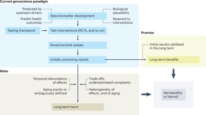 Balancing the promise and risks of geroscience interventions | Nature Aging