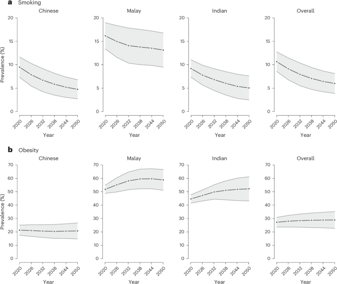 Disease burden, lifetime healthcare cost and long-term intervention impact projections among older adults in Singapore