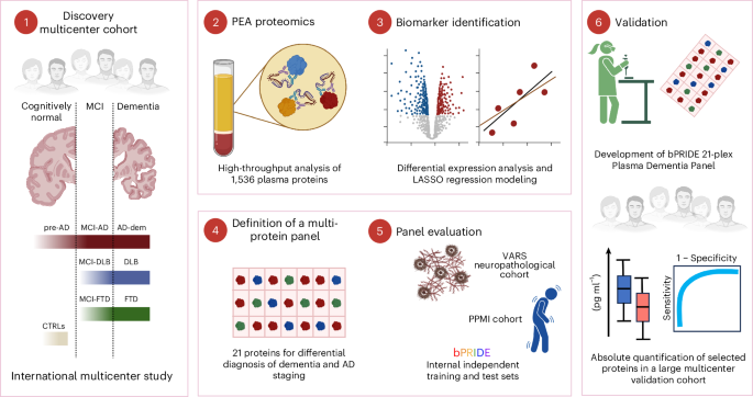 Image of the Plasma proteome profiling identified biomarkers for the differential diagnosis and molecular staging of neurodegenerative dementias - Nature news article