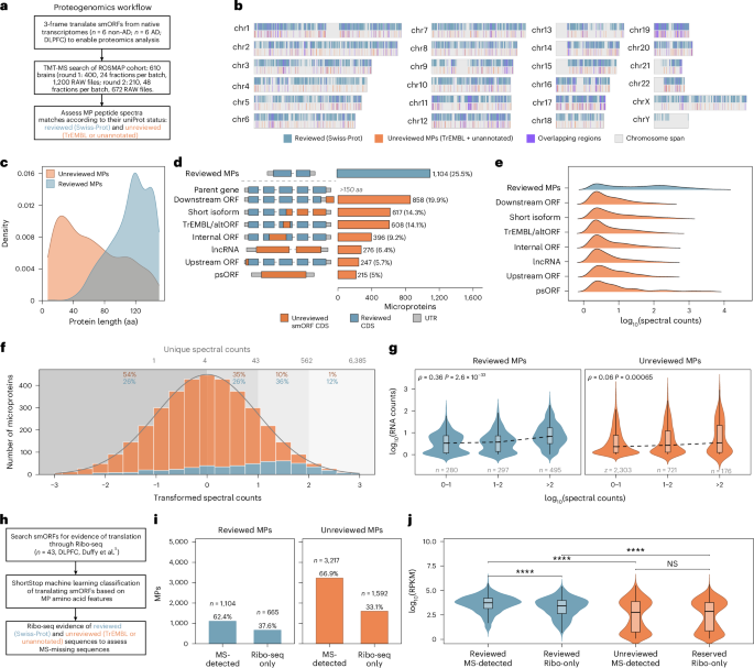 A microprotein atlas of the human frontal cortex in Alzheimer’s disease
