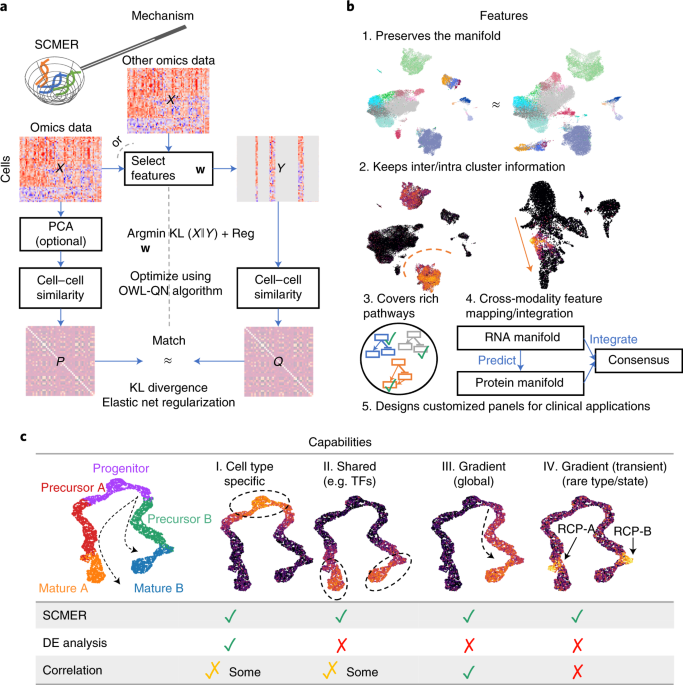 Single Cell Manifold Preserving Feature Selection For Detecting Rare Cell Populations Nature Computational Science