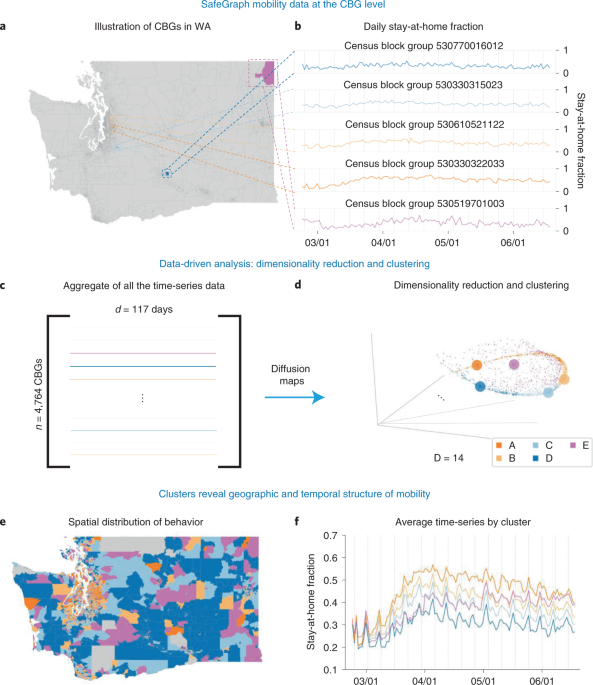 Insights into population behav...