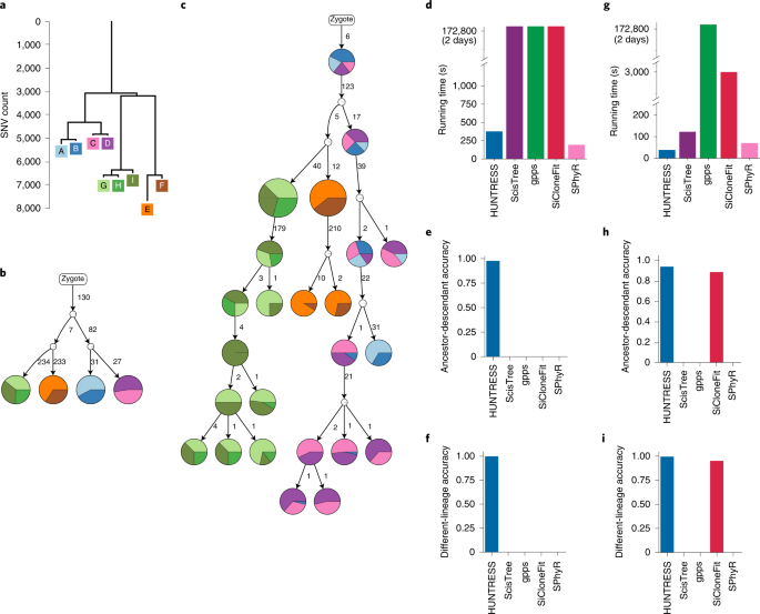Fast intratumor heterogeneity inference from single-cell sequencing data