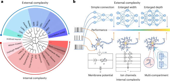 Network model with internal complexity bridges artificial 