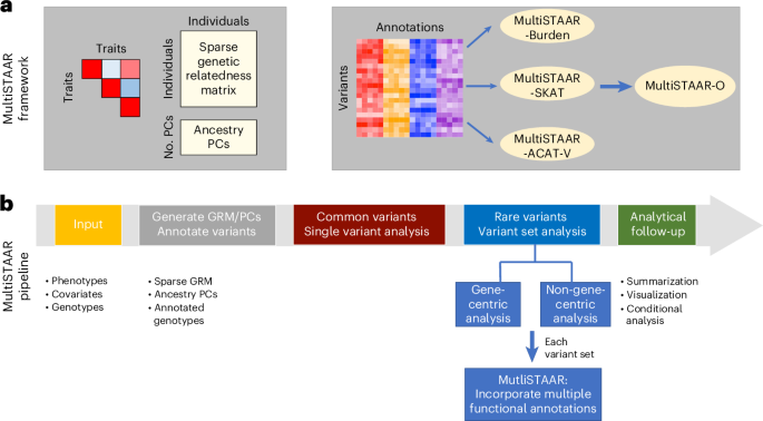 MultiSTAAR delivers multi-trait rare variant analysis of biobank-scale ...