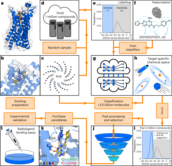 Rapid traversal of vast chemical space using machine learning-guided docking screens