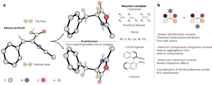 Deep learning for asymmetric catalysis - Nature Computational Science