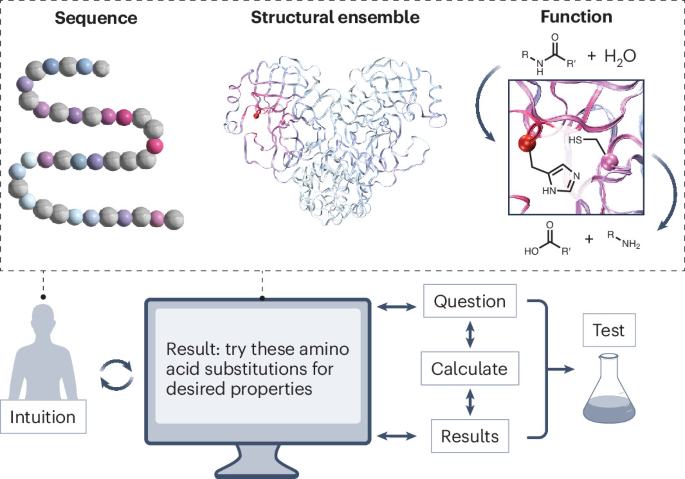 Intuitive enzyme design with LLM agents