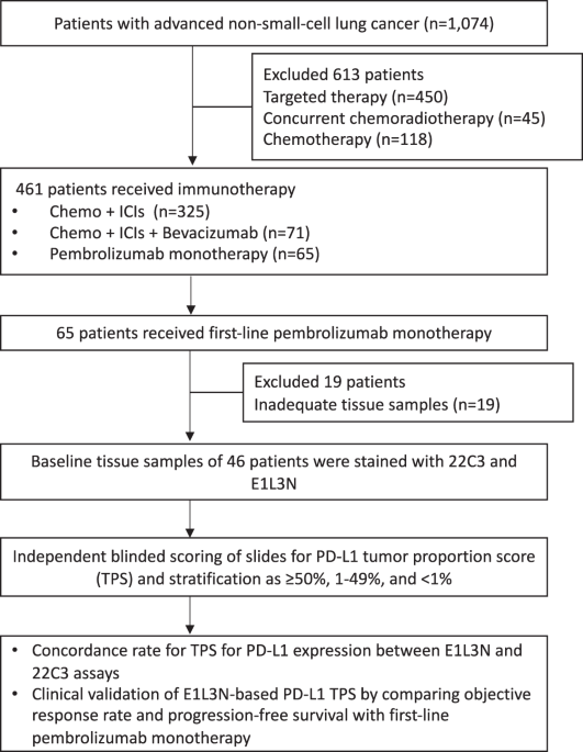 Validation of E1L3N antibody for PD-L1 detection and prediction of 