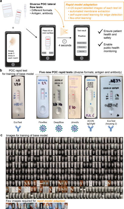 Rapidly adaptable automated interpretation of point-of-care COVID 