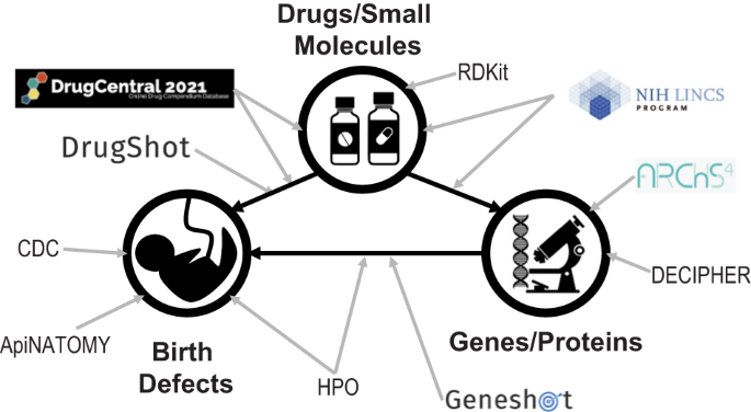 Toxicology knowledge graph for structural birth defects 