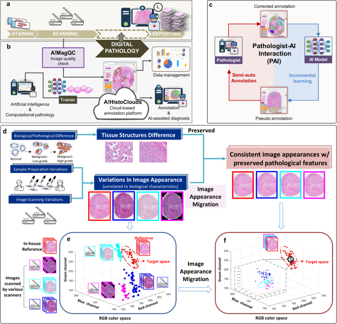 detailed assessment framework diagram showing evaluation criteria for AI model optimization opportunities with color-coded sections
