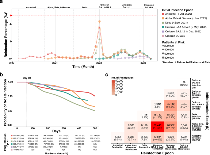 Insights from an N3C RECOVER EHR-based cohort study characterizing SARS-CoV-2 reinfections and Long COVID