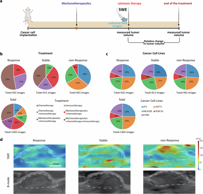 A convolutional attention model for predicting response to chemo ...