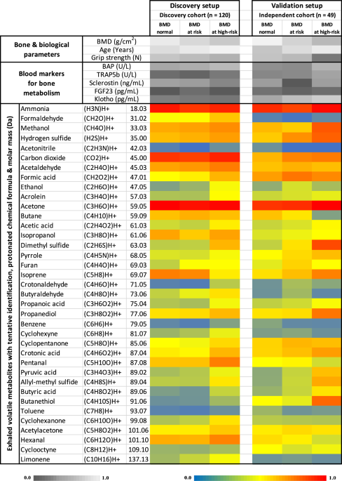 Exhaled breath metabolites reveal postmenopausal gut-bone cross-talk and non-invasive markers for osteoporosis