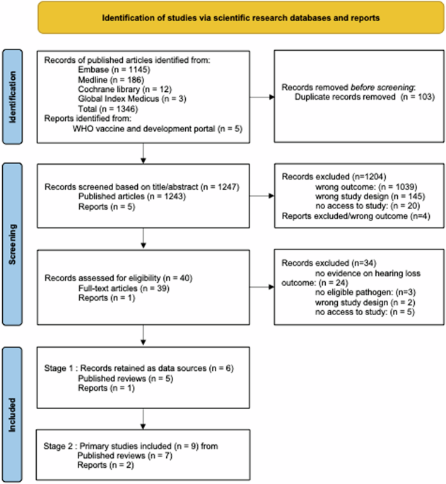 Vaccination for prevention of hearing loss: a scoping review