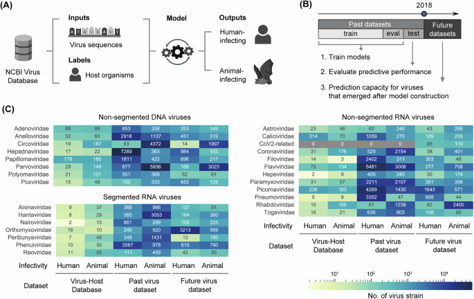 Uncovering the Hidden Challenges of Using Machine Learning to Assess Zoonotic Virus Spillover Risk