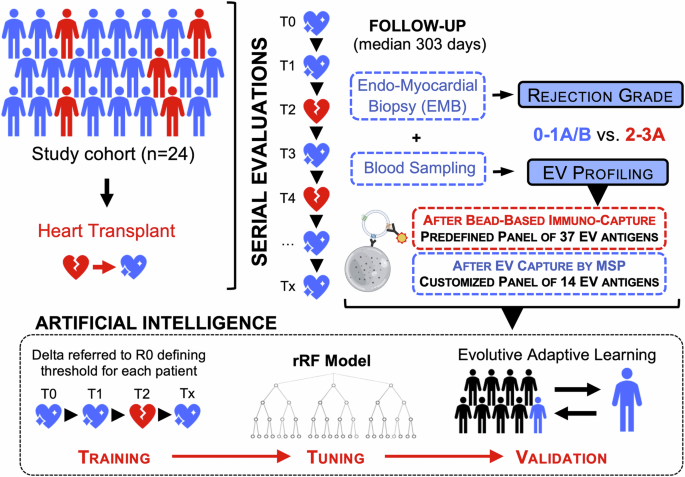Using Machine Learning to Monitor Heart Transplant Rejection Through Extracellular Vesicle Assessment