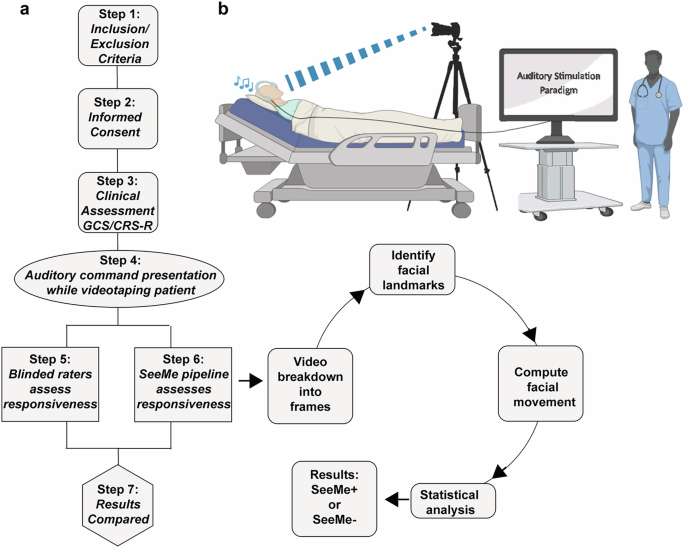 Computer Vision Reveals Hidden Facial Movements in Unresponsive Brain Injury Patients