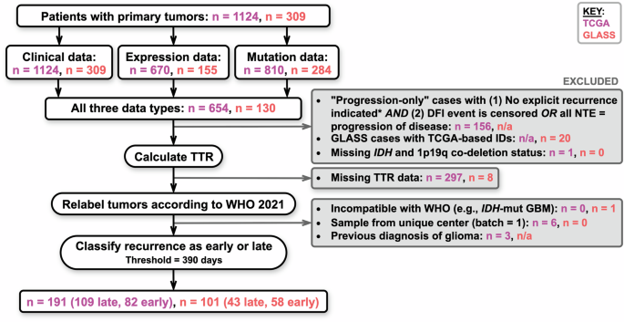 Predicting Glioma Recurrence with a Deep Learning Model Using Genomic and Clinical Data