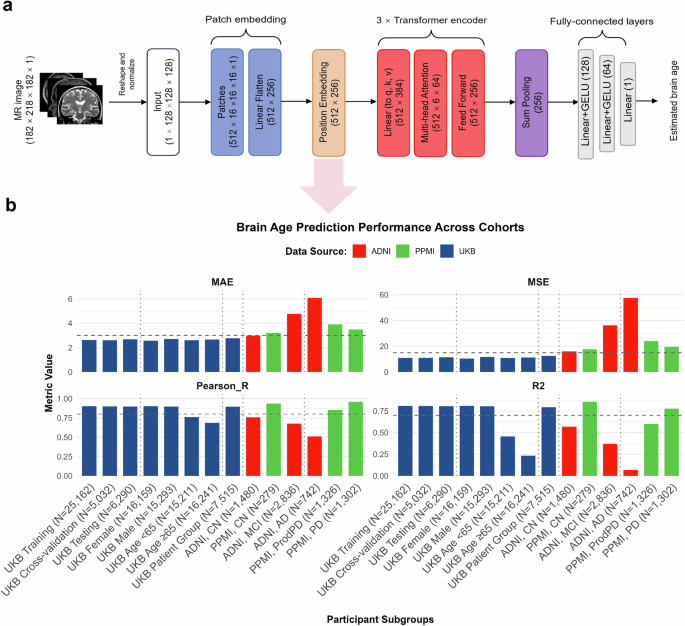 Brain age gap as a predictive biomarker that links aging, lifestyle, and neuropsychiatric health
